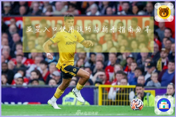 亚星入口使用技巧与新手指南分享