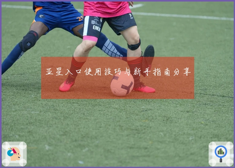 亚星入口使用技巧与新手指南分享