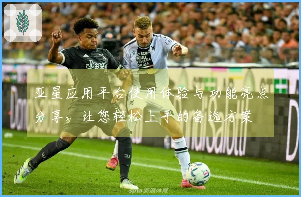 亚星应用平台使用体验与功能亮点分享，让您轻松上手的备选方案